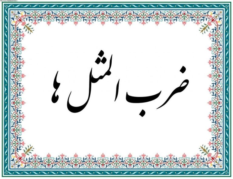 دانشجوی ستاره ‌دار سیاسی نداریم / وزیر علوم